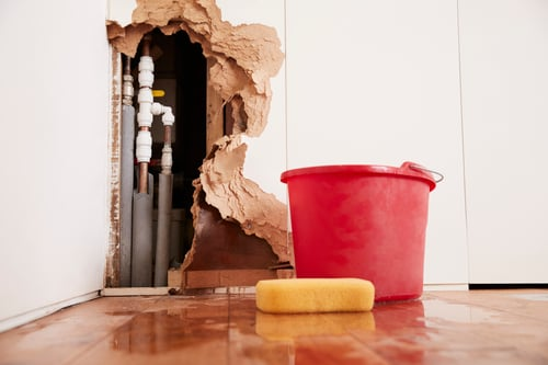 Water on Your Hardwood Floor: What to Do in the First 24 Hours